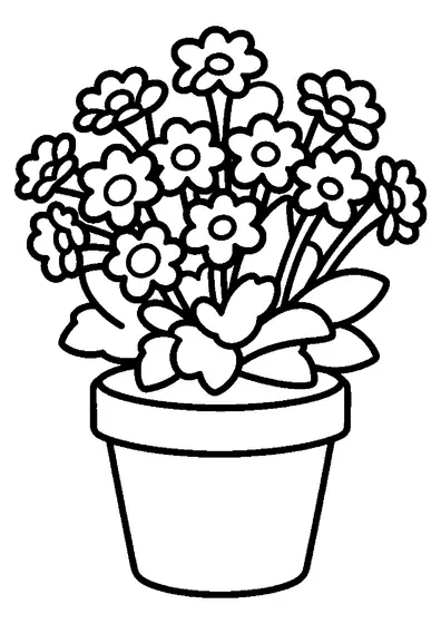 Kalanchoe roste ve malé květináči a má dužnaté listy.