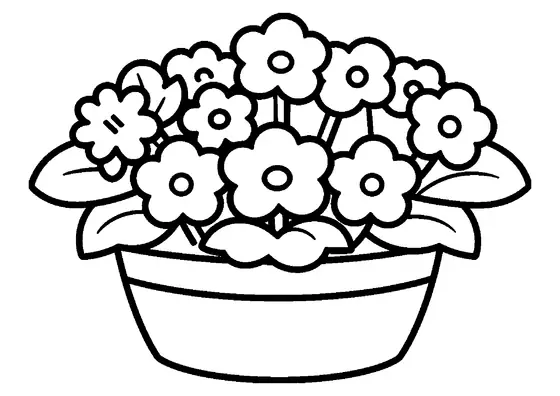 Primeiro florescer com folhas largas e flores grandes e redondas.