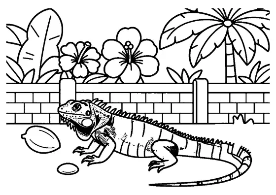 Iguana zielona z kolcami na grzbiecie leżąca na skale.