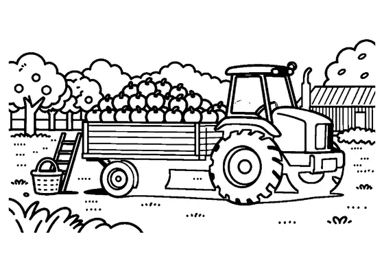 Un tractor arrastra por un huerto un remolque cargado de manzanas rojas recién cosechadas.