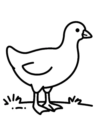 Una grande gallinella d'acqua con lunghe dita sta in piedi sulla sponda.