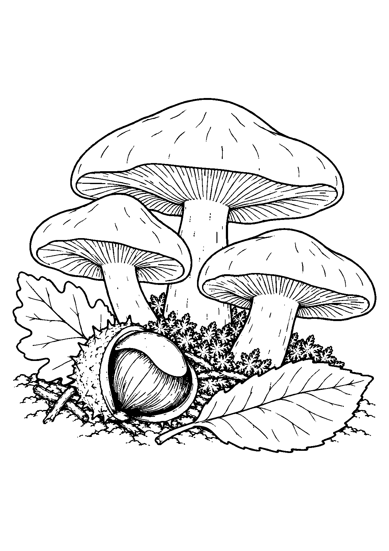 Three broad-capped wood blewit mushrooms beside a split chestnut husk, fallen leaves, twigs, and moss.
