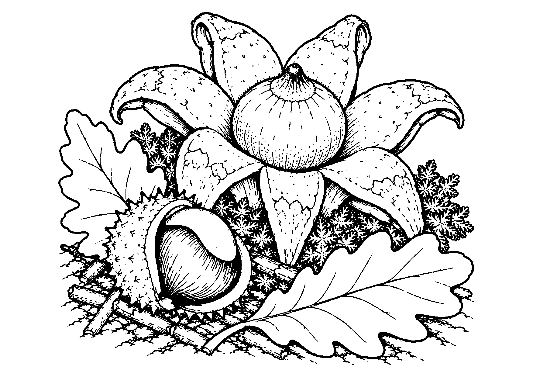 One large earthstar fungus with open star-shaped rays beside a split chestnut husk, oak leaves, moss, and twigs.