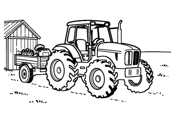 Un tractor roșu trage o remorcă încărcată cu coșuri de gălbiori, în fața peretelui din lemn al unui hambar.