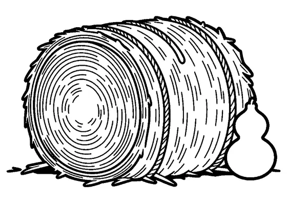 A large hay bale tied with twine, with an autumn pumpkin standing beside it.