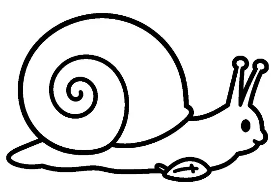 Una chiocciola vista di profilo con grande guscio a spirale e lunghe antenne riposa su una foglia autunnale.