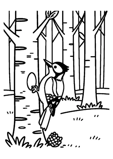 A woodpecker perched on a birch trunk in a grove of trees.