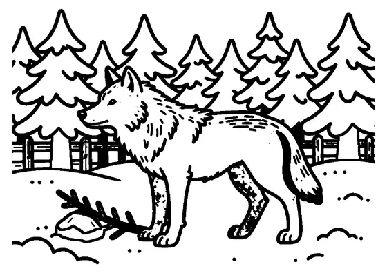 Un loup gris se tient dans une clairière enneigée, entouré de conifères.