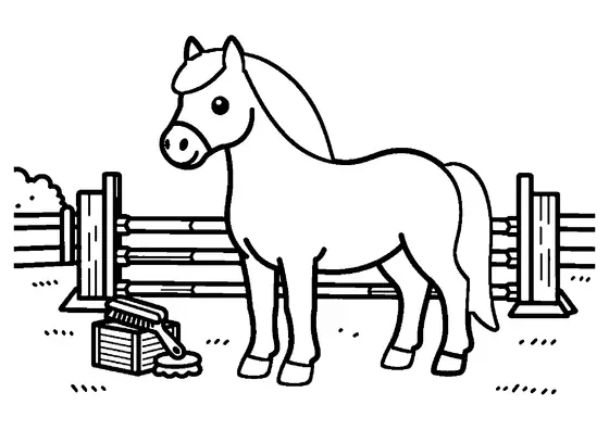 Ein anmutiges Welsh-Pony steht auf einem Reitplatz neben einem Stangenhindernis und einer Kiste mit Zubehör.