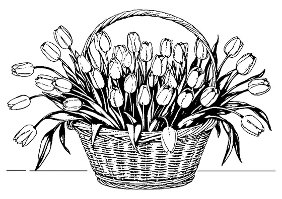 Coloriage représentant un grand panier tressé rempli de tulipes en fleurs et posé sur une table, avec des contours nets.