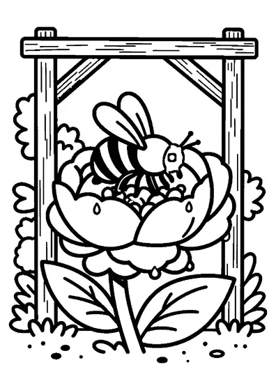 A honeybee resting on a large peony bud in a botanical garden