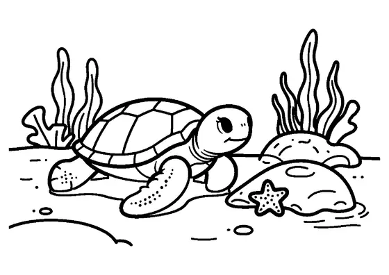 Una tortuga marina de caparazón decorado nada sobre corales, una estrella de mar y el fondo arenoso.