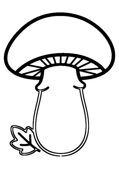 Stor karlsvamp med en bred hatt och en tjock stam bredvid ett blad.