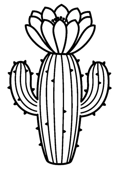 Stor kaktus med räfflad stjälk, korta taggar och en blomma.
