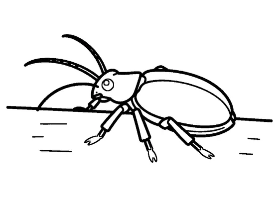 Great capricorn beetle standing diagonally on a piece of tree bark.