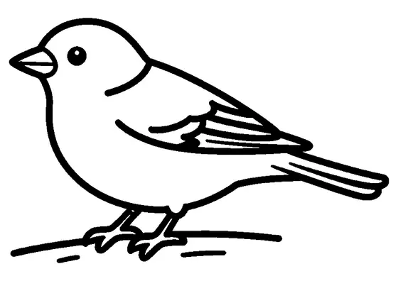 A chaffinch sitting sideways on a low tree branch.