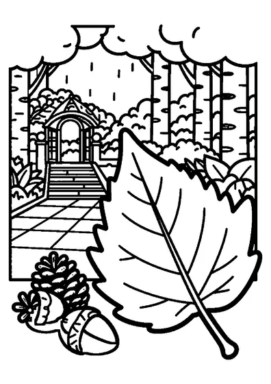 Une grande feuille de bouleau nervurée, une pomme de pin et des châtaignes sur les dalles mouillées de la terrasse d’un jardin botanique.