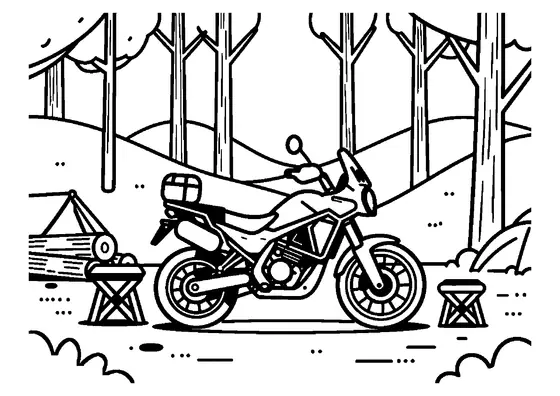 Grande moto tourisme-aventure au milieu de grands pins