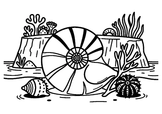 Colorir que mostra uma grande concha espiral de náutilo e uma concha de ouriço-do-mar junto de um penhasco subaquático.