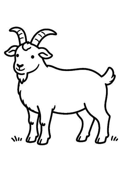 Eine Ziege von der Seite mit gebogenen Hörnern, Bart, Schlappohren und kurzem Schwanz im Gras.