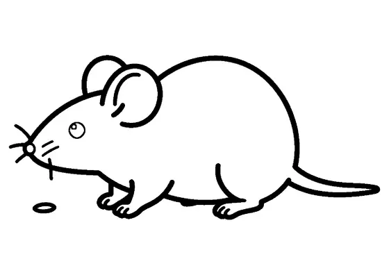 Side view of a tiny mouse with large round ears, small paws, a pointed nose, and a long tail next to a grain seed.