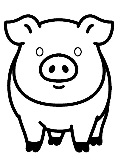 Ein Schwein von vorn mit rundem Rüssel, Schlappohren, kleinen Augen und einem rundlichen Körper.