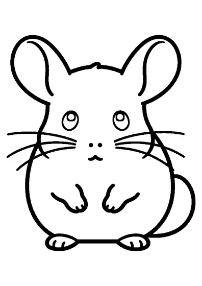 Front view of a fluffy chinchilla with large round ears, big eyes, and a bushy tail sitting on a mat.