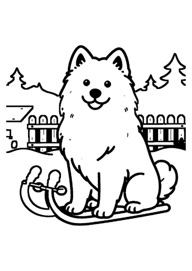 A fluffy Samoyed sitting in a snow-covered garden beside a wooden sled.