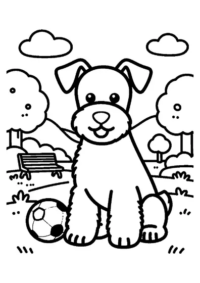 A schnauzer sitting near a ball and bowl beside a park bench, trees, and path.