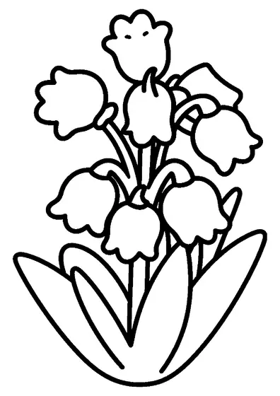 Un grande fiore di scilla con boccioli a campanula e foglie dritte.