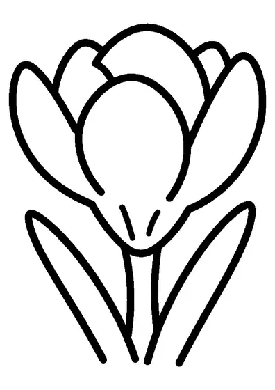 Um grande crocus brota de um pequeno tufo de relva e tem pétalas em forma de cálice.