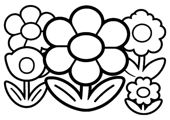 Un grande fiore di aconito invernale con petali rotondi e collare di foglie.