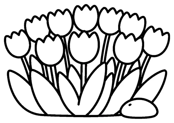 A large clump of spring tulips growing next to a rounded stone.