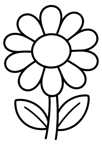 A single large daisy flower with a round center and broad petals.
