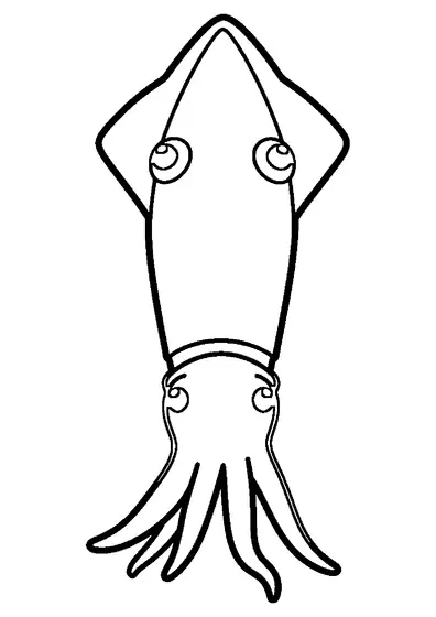 Un calamaro disposto in verticale con mantello affusolato, pinne triangolari e lunghi tentacoli.