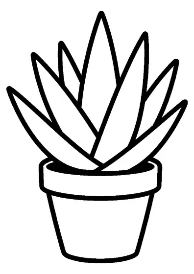 A large aloe vera plant with thick spiky leaves in a wide pot.