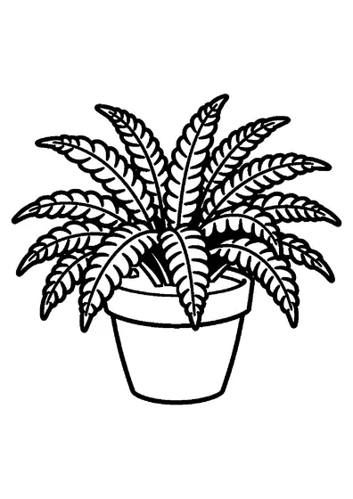 A large potted fern with long arching fronds and thick stems.