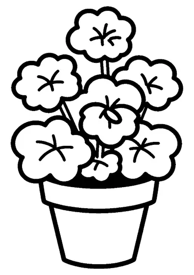A potted geranium in a round pot with green leaves and a large flower cluster.