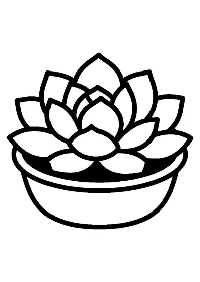 A large succulent plant with thick rosette leaves in a shallow round pot.