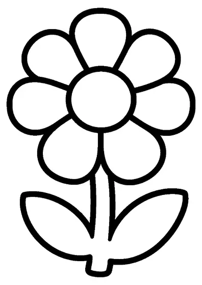 Large flower with a round center resembling a medal.