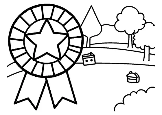 A wide rosette award ribbon with a large central star.