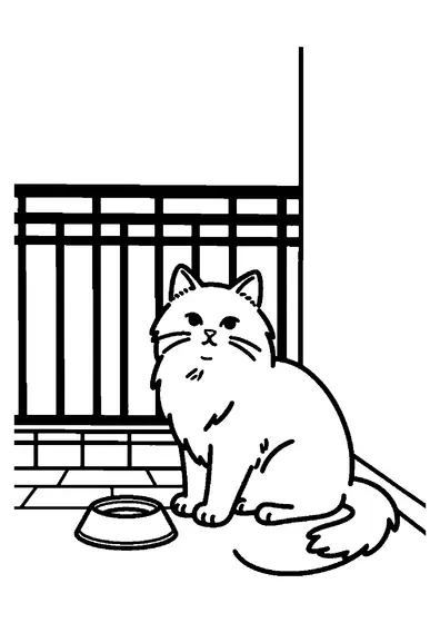 Un angora turc blanc est assis sur une table de balcon, près d’une gamelle et d’une brosse pour son pelage.