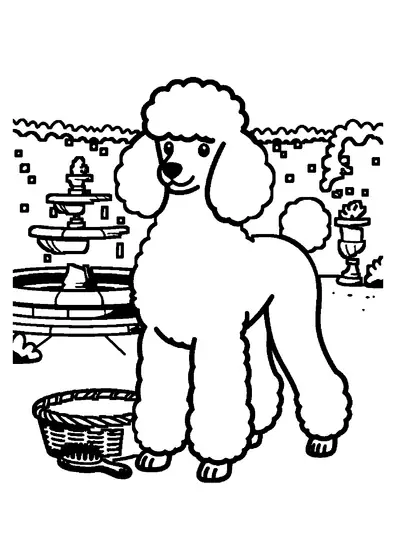 Dessin à colorier d'un caniche royal dans un parc près d'une fontaine en pierre.