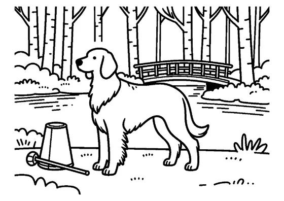Coloriage d'un setter irlandais au bord d'un ruisseau en forêt.
