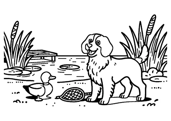 Um Springer Spaniel Inglês parado à beira de um lago cheio de caniços.