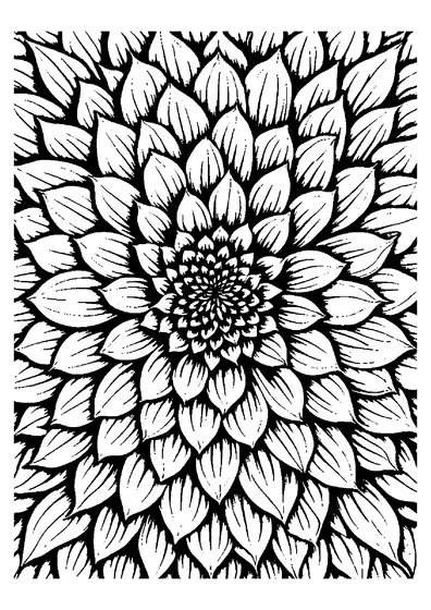 Una dalia vista desde arriba, con grandes pétalos que forman un elaborado mandala floral lleno de espacios para colorear por adultos.