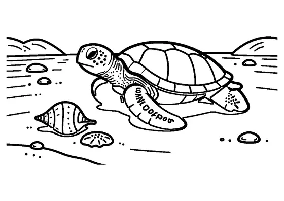 Une grande tortue de mer nage paisiblement au-dessus d’un fond de sable clair.